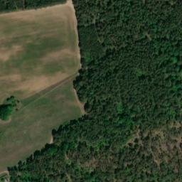 Satellite imagery of Dachsberg, DE