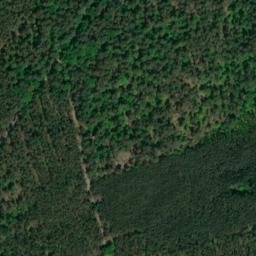 Satellite imagery of Dachsberg, DE