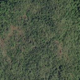 Satellite imagery of Schofield Point, CA