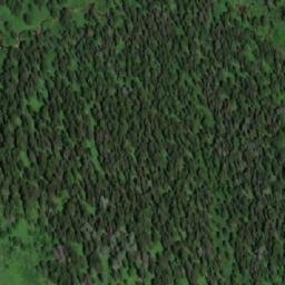 Satellite imagery of Шардаковский, RU