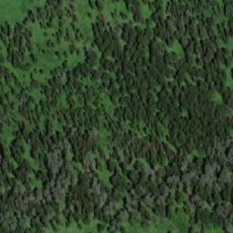 Satellite imagery of Шардаковский, RU