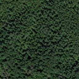 Satellite imagery of Шардаковский, RU