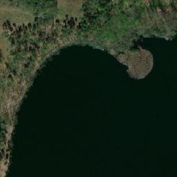 Satelita