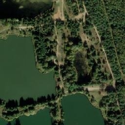 Satelita