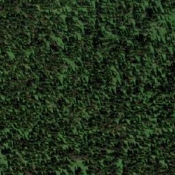 Satellite imagery of Паспайчак, RU