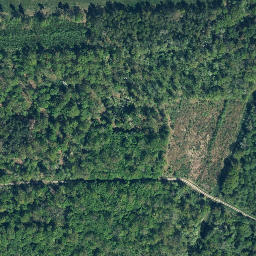 Satellite imagery of Großer Giebelberg, DE