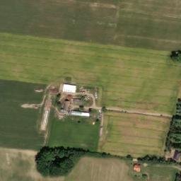 Satelita