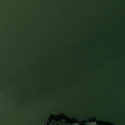 Satelita