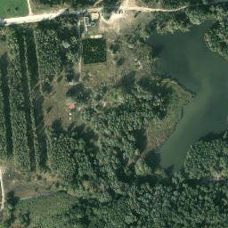 Satelita