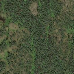 Satellite imagery of Tine Hill, CA