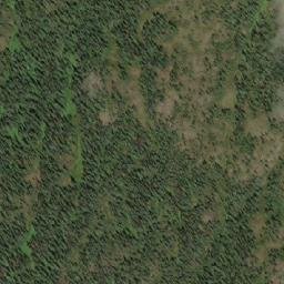 Satellite imagery of Tine Hill, CA