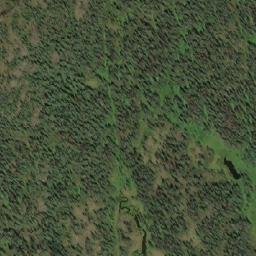 Satellite imagery of Tine Hill, CA
