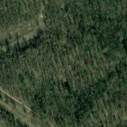 Satellite imagery of Finkenberg, DE