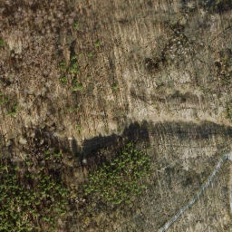Satellite imagery of Teufelsberg, DE