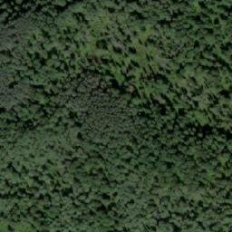 Satellite imagery of Пасека, RU