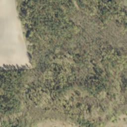 Satelita