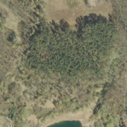 Satelita