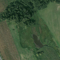 Satellite imagery of Napachanie - Pałac, PL