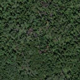 Satellite imagery of Пасека, RU
