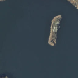 Satelita