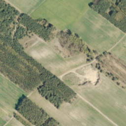 Satelita