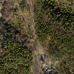 Satellite imagery of Grunewaldturm, DE