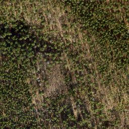 Satellite imagery of Grunewaldturm, DE