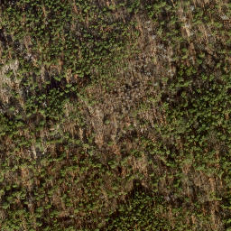 Satellite imagery of Grunewaldturm, DE