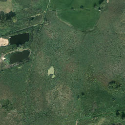 Satelita