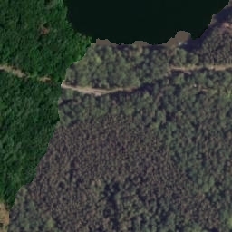 Satelita