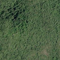 Satellite imagery of Swindle Point, CA