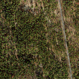 Satellite imagery of Grunewaldturm, DE