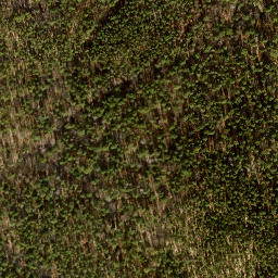 Satellite imagery of Grunewaldturm, DE