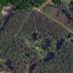 Satelita