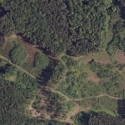 Satelita