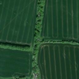 Satellite imagery of Lydbury North, GB