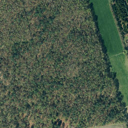 Satellite imagery of Sandberg, DE