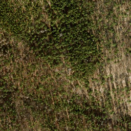 Satellite imagery of Havelberg, DE
