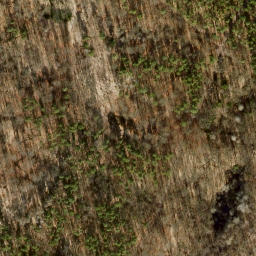 Satellite imagery of Jagdschloß Grunewald, DE