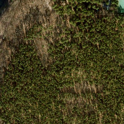 Satellite imagery of Jagdschloß Grunewald, DE