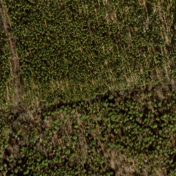 Satellite imagery of Jagdschloß Grunewald, DE