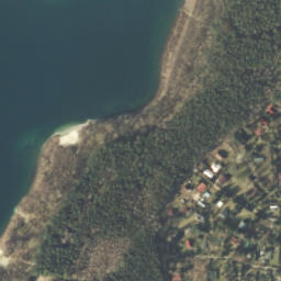 Satelita