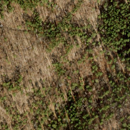 Satellite imagery of Havelberg, DE