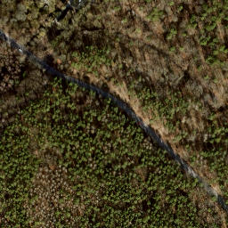 Satellite imagery of Jagdschloß Grunewald, DE