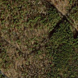 Satellite imagery of Jagdschloß Grunewald, DE
