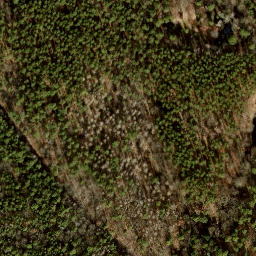 Satellite imagery of Jagdschloß Grunewald, DE