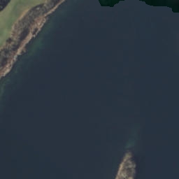 Satelita