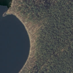 Satelita