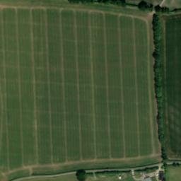 Satellite imagery of Bush Wood, GB
