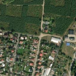 Satelita